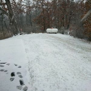 Meet your Posher, Frank